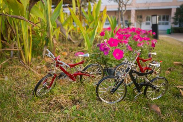创意拼装自行车玩具套件除了附带刹车、避震、二极管发光尾灯等逼真的结构之外，该模型还具备一个电机，在自行车行进时可以发电。